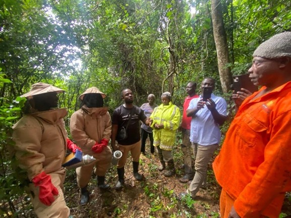 Farmers managing beehives