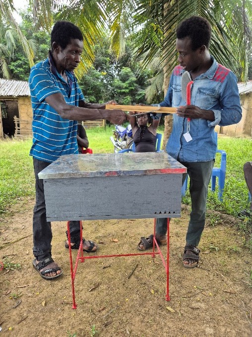 Honey harvesting activity